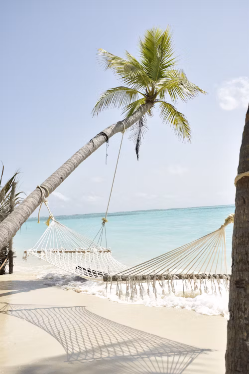 Luxery Travel 