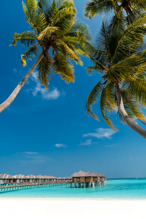 Luxery Travel 