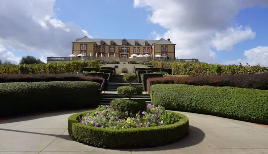 Top 10 Must-Visit Wineries in Sonoma